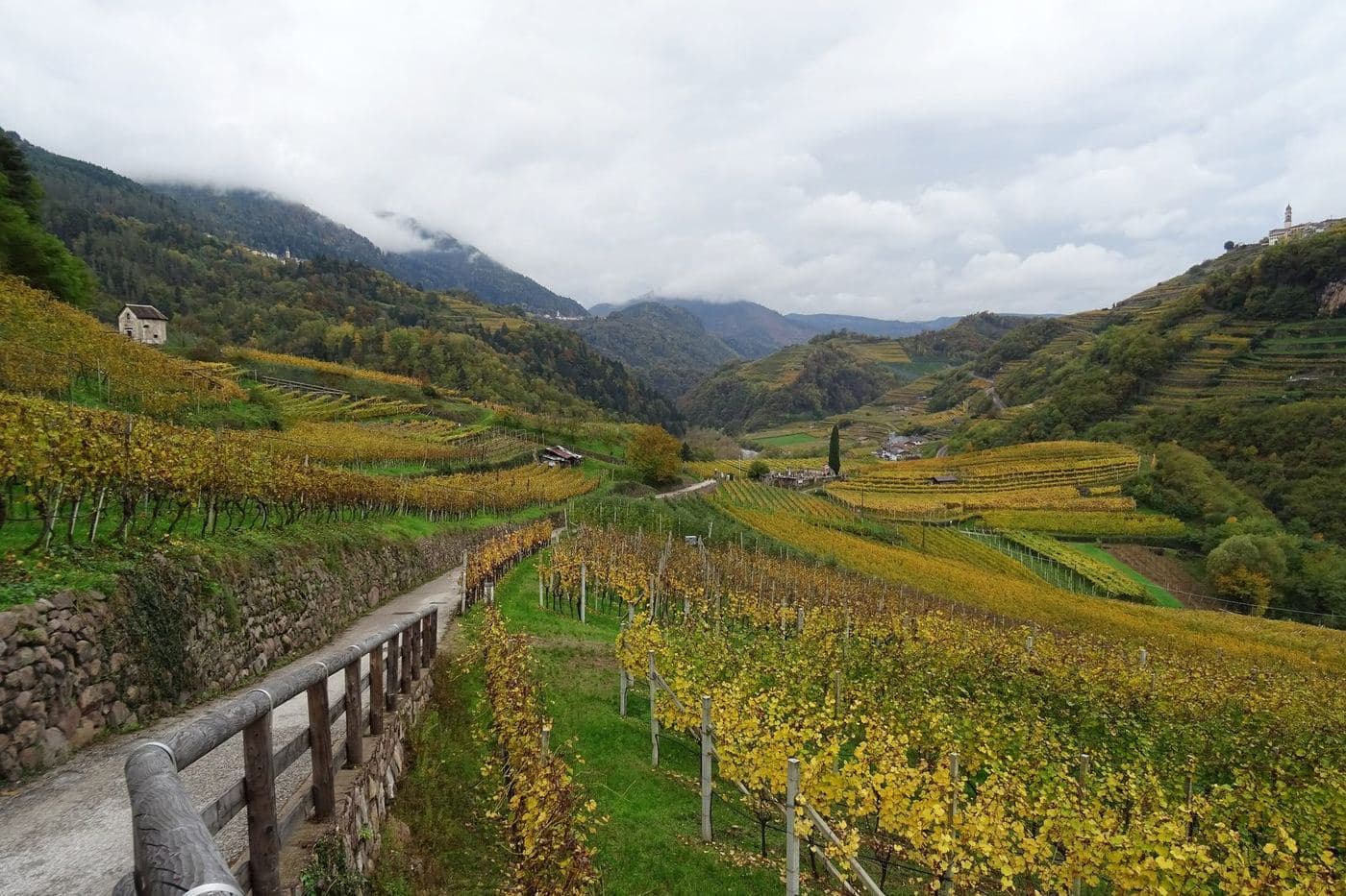 Vinhedos dourados de outono em terraços no vale de Cembra, Trentino
