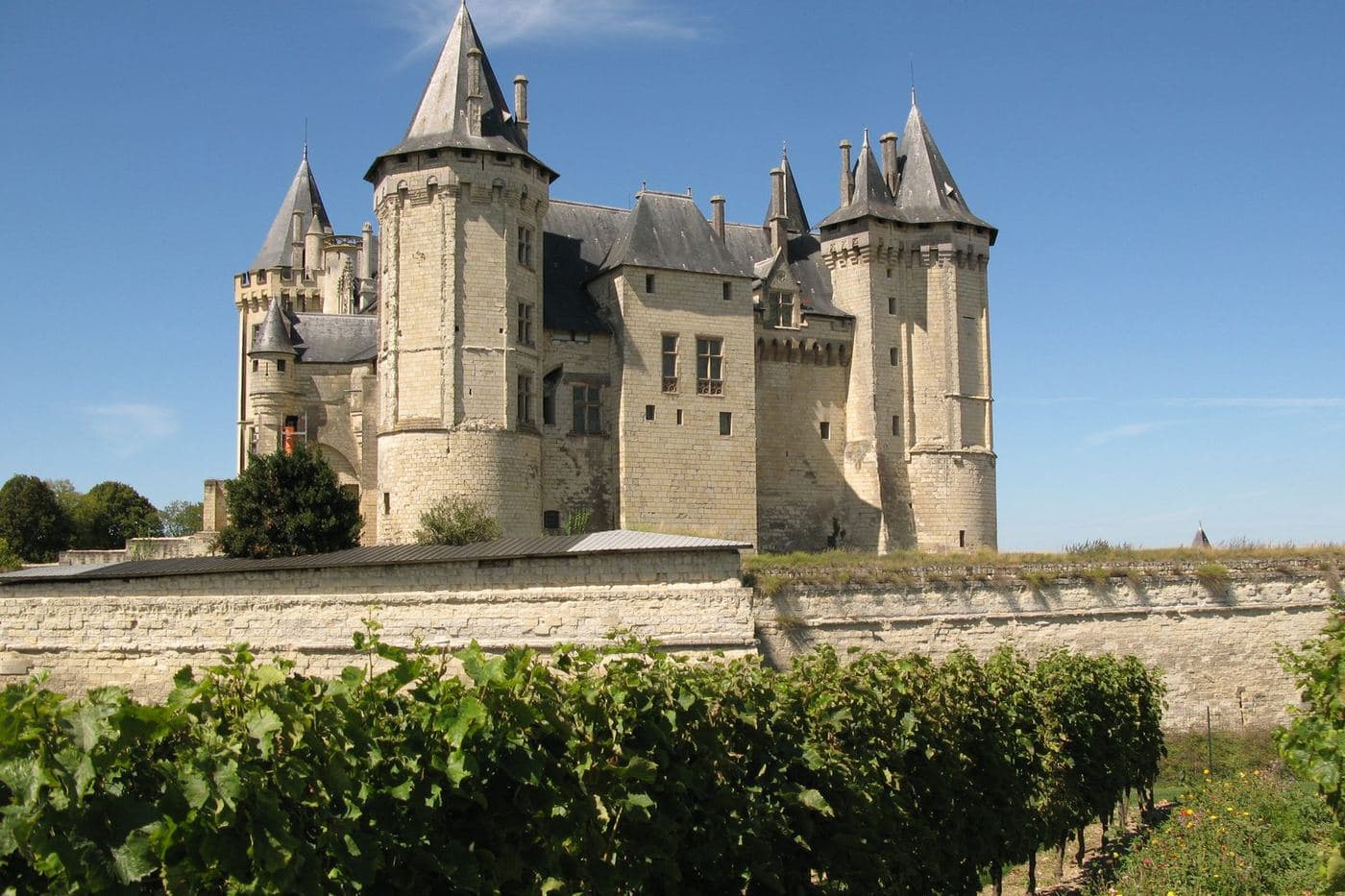 Castelo de Saumur com torres pontiagudas visto a partir dos vinhedos, Vale do Loire