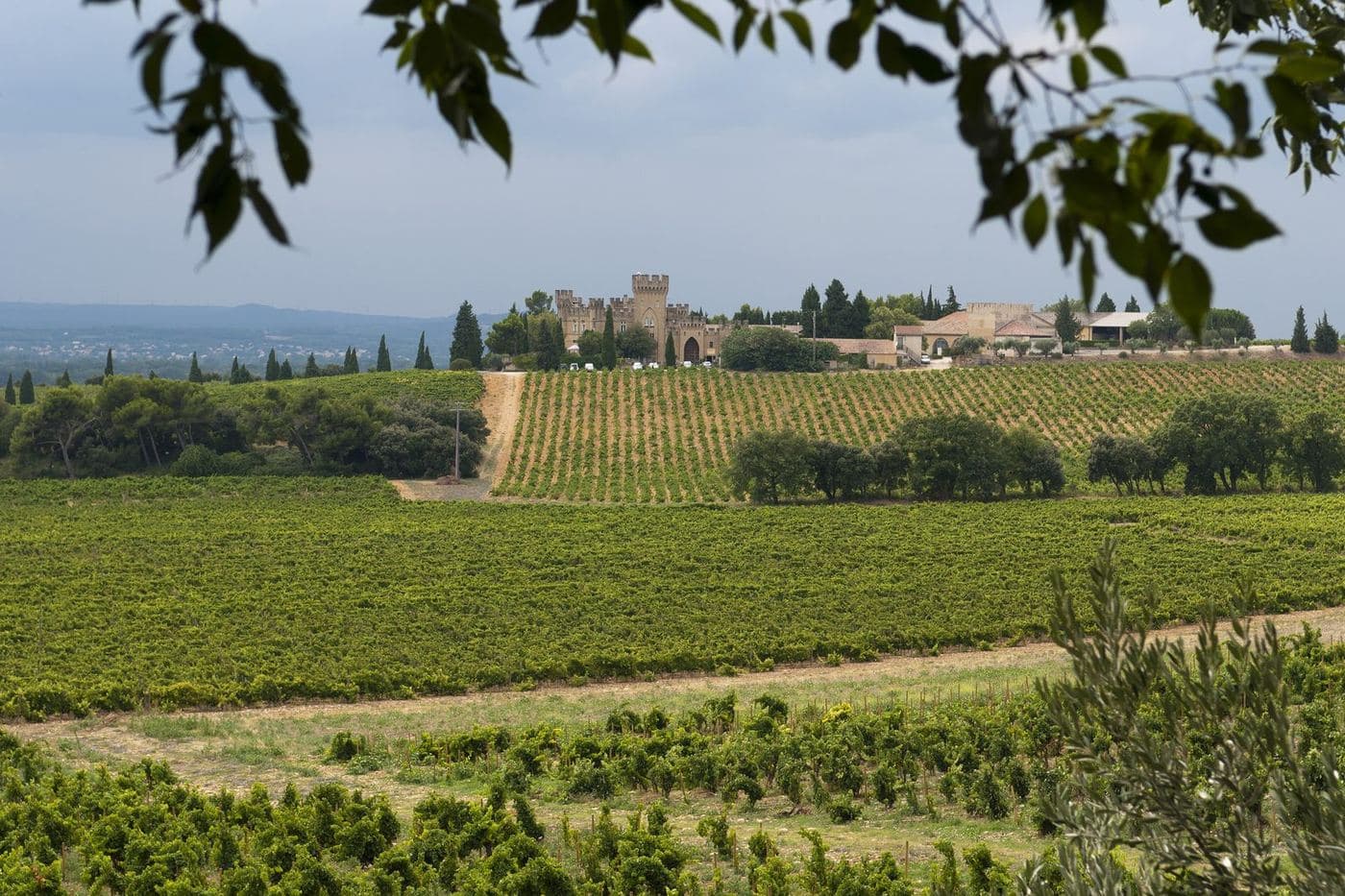 Vinhedos do sul do Rhône vistos do Château La Nerthe, em Châteauneuf-du-Pape