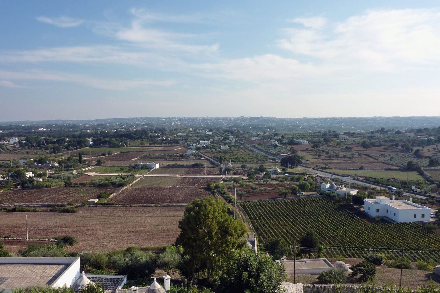 Vale d'Itria visto de Locorotondo, com vinhedo e trulli entre os campos