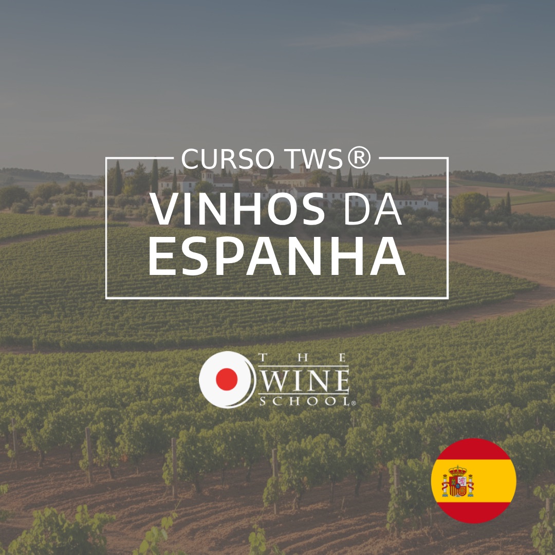 Arte do curso TWS Vinhos da Espanha, com vinhedos ao fundo
