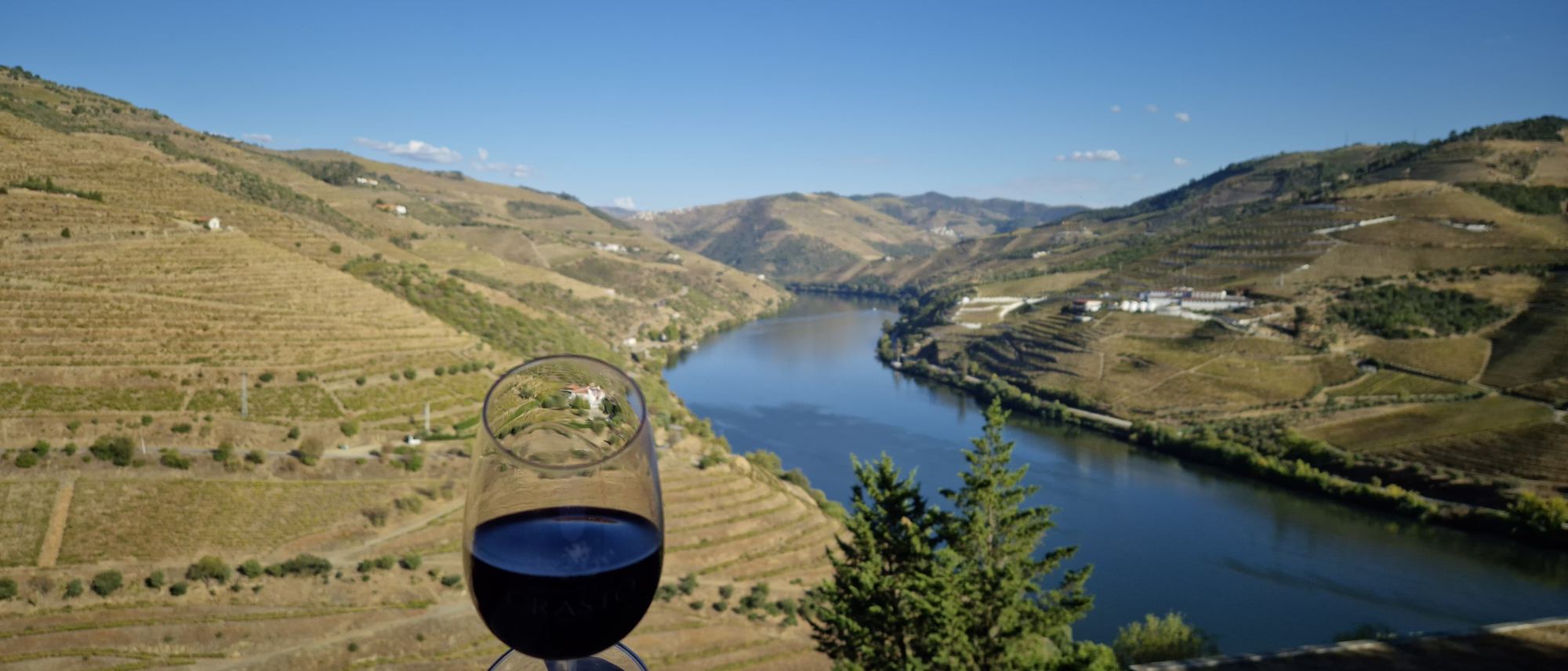 Taça de vinho tinto erguida diante do rio Douro e dos vinhedos em socalcos